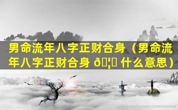 男命流年八字正财合身（男命流年八字正财合身 🦟 什么意思）